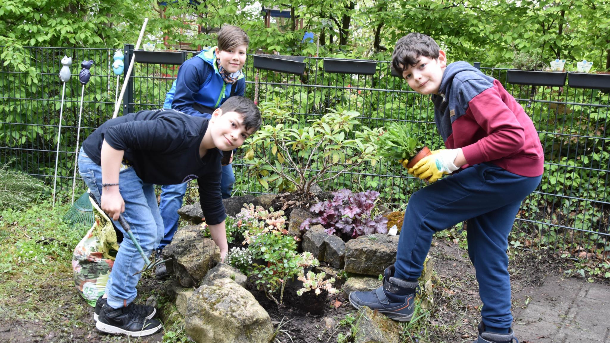 Adrian, Julian und Anton (vlnr) setzen die Pflanzen in die Blumenschnecke