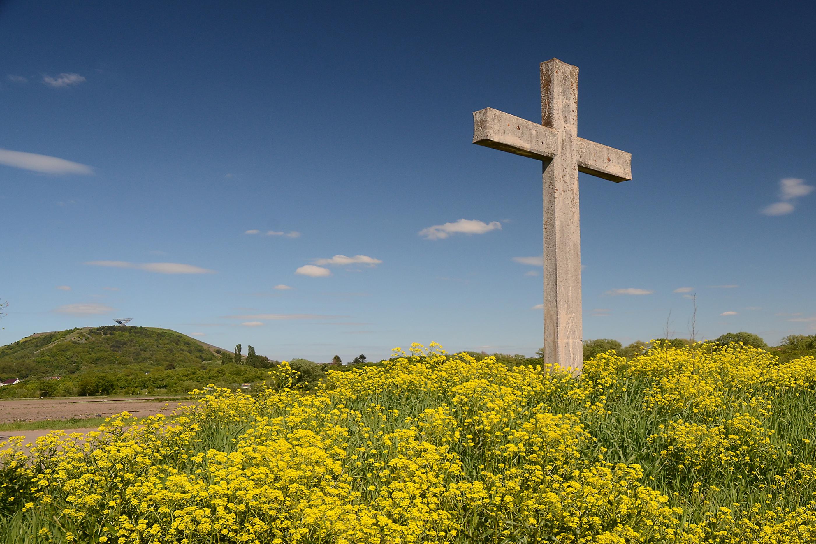 Lisdorfer Aue mit blühenden Blumen in Frühlingssonne