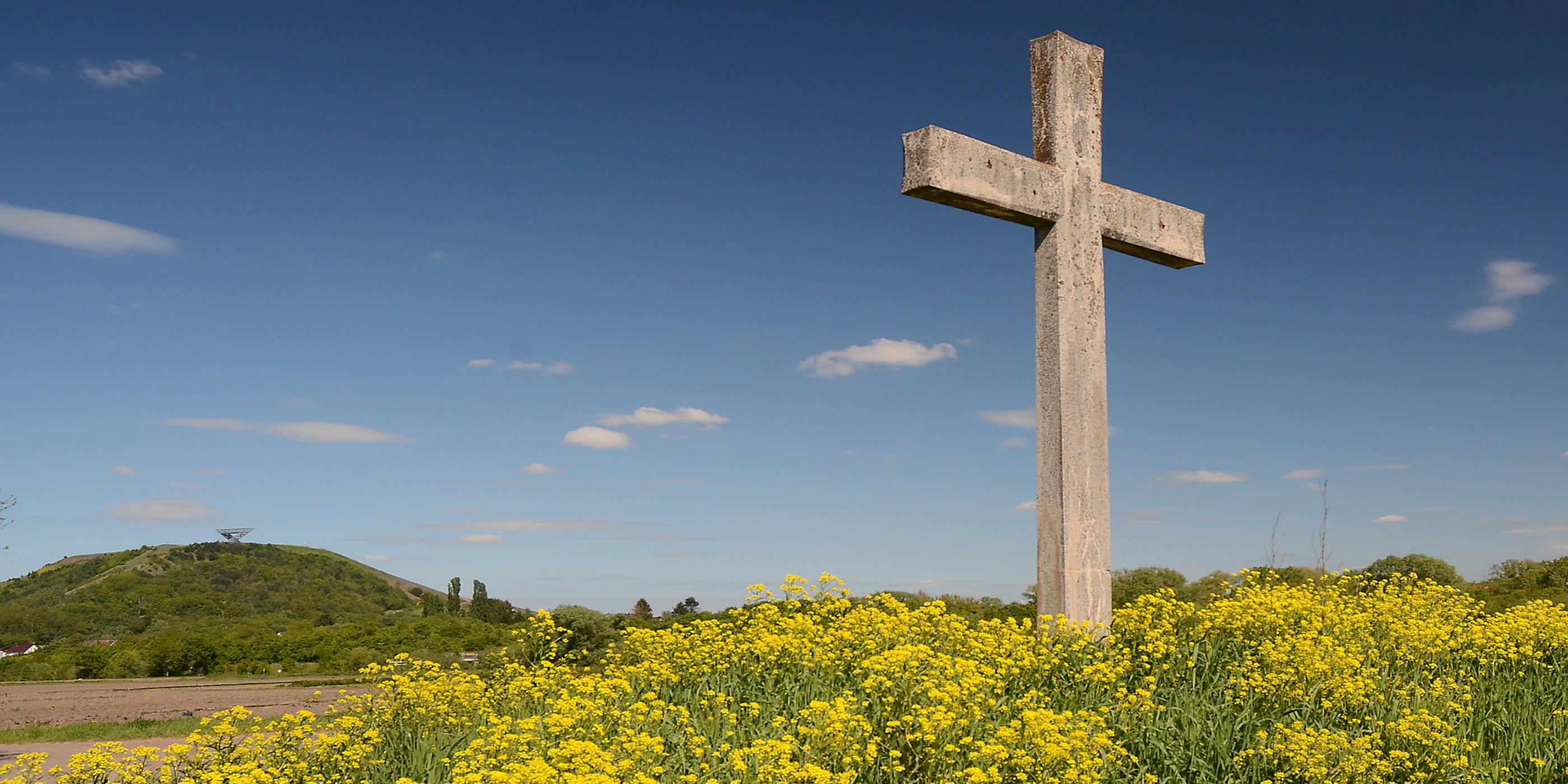 Lisdorfer Aue mit blühenden Blumen in Frühlingssonne