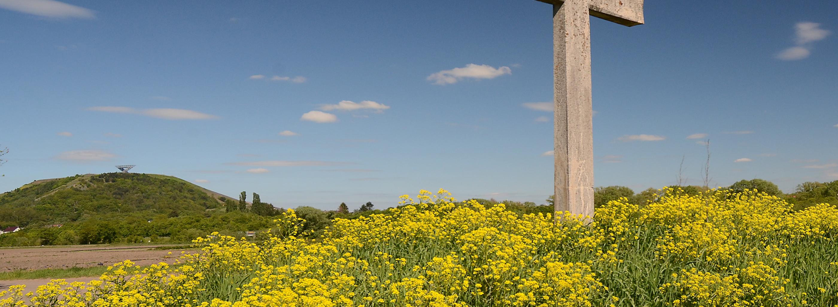 Lisdorfer Aue mit Saarpolygon und Wegekreuz im Frühling