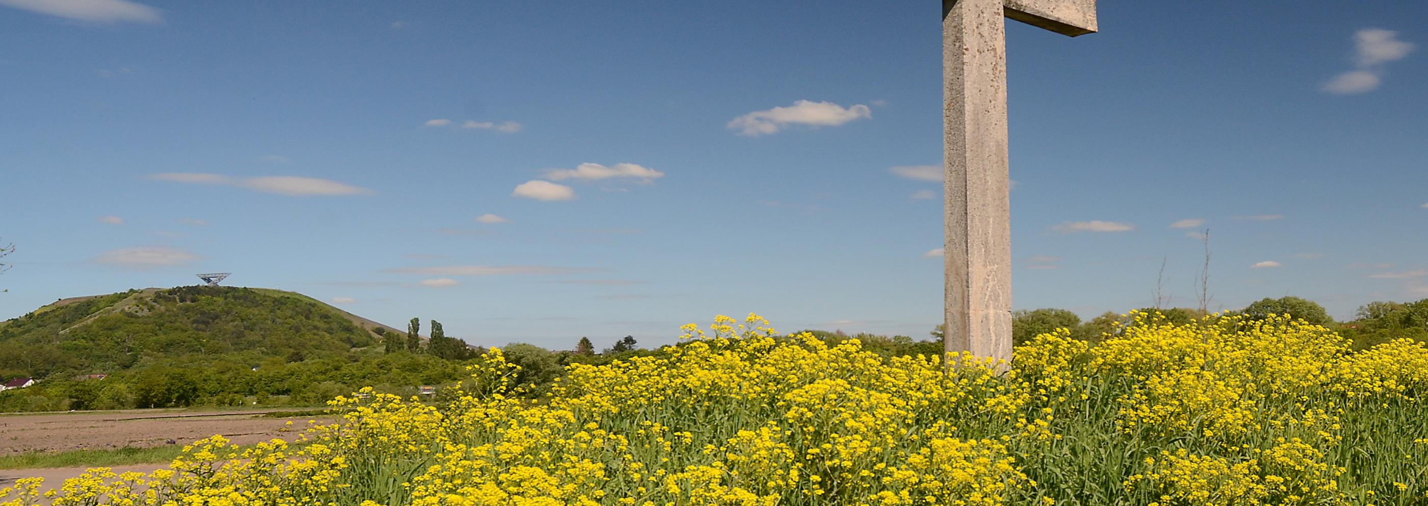 Lisdorfer Aue mit Saarpolygon und Wegekreuz im Frühling