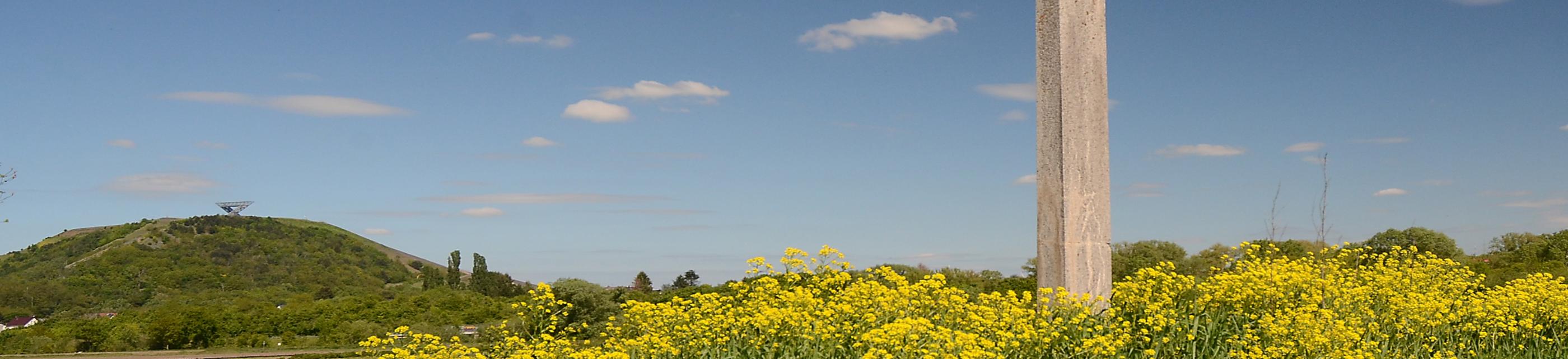 Lisdorfer Aue mit Saarpolygon und Wegekreuz im Frühling