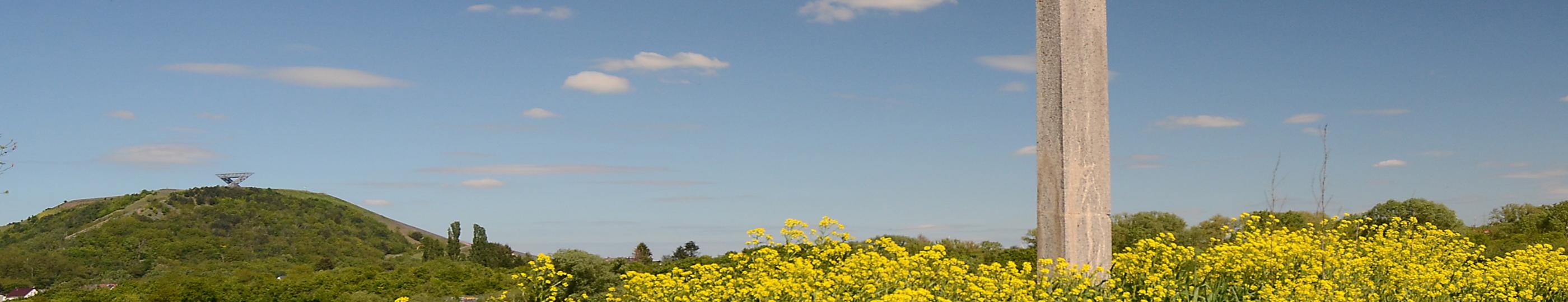 Lisdorfer Aue mit Saarpolygon und Wegekreuz im Frühling