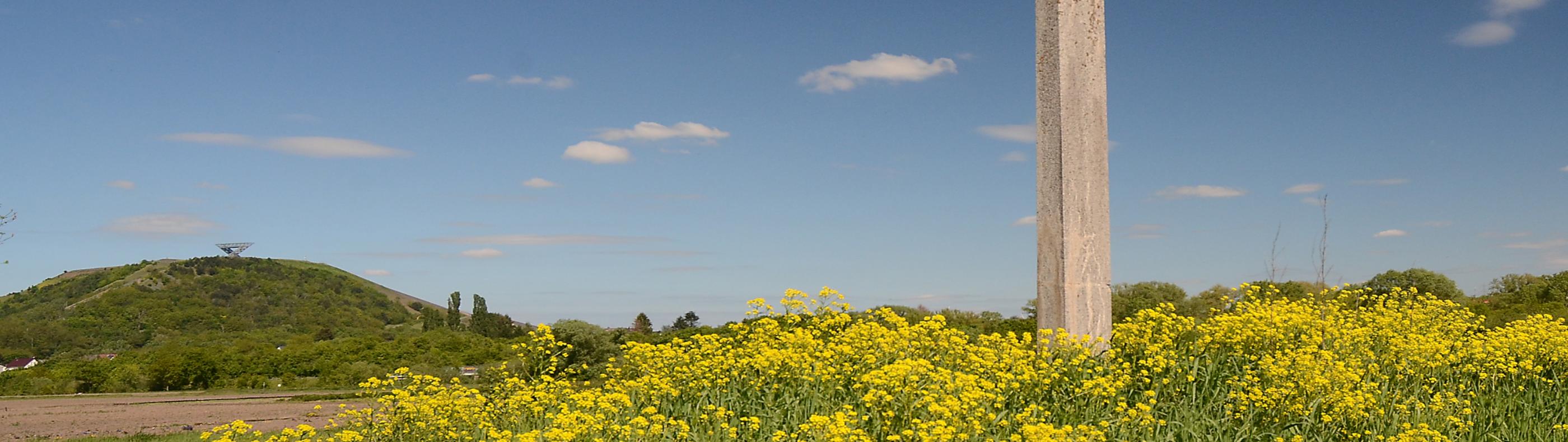 Lisdorfer Aue mit Saarpolygon und Wegekreuz im Frühling