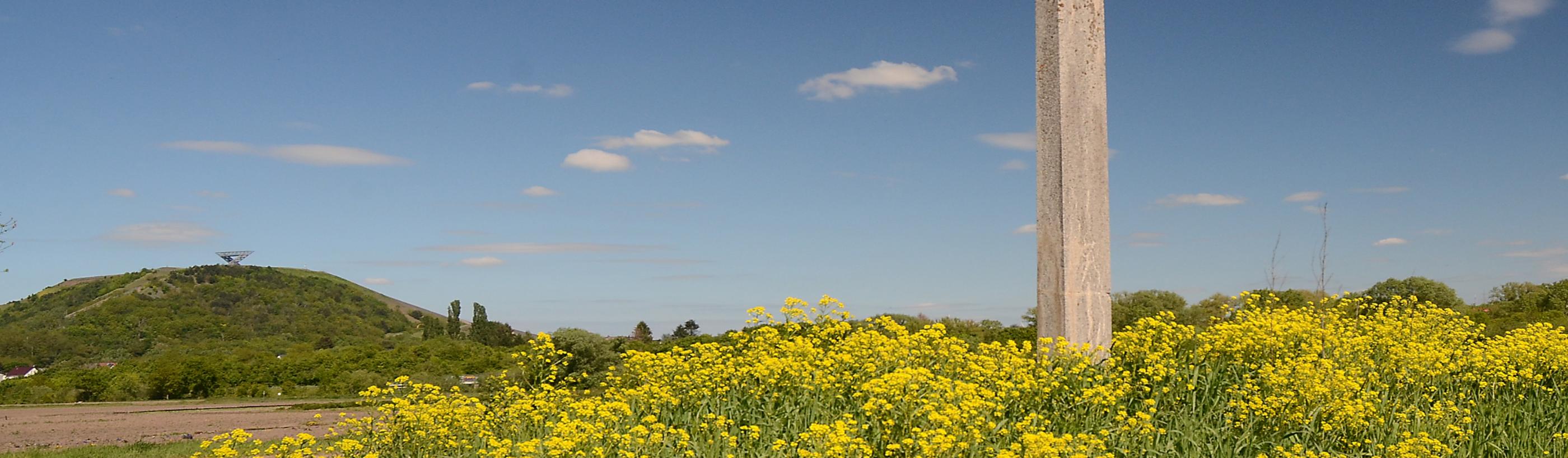 Lisdorfer Aue mit Saarpolygon und Wegekreuz im Frühling
