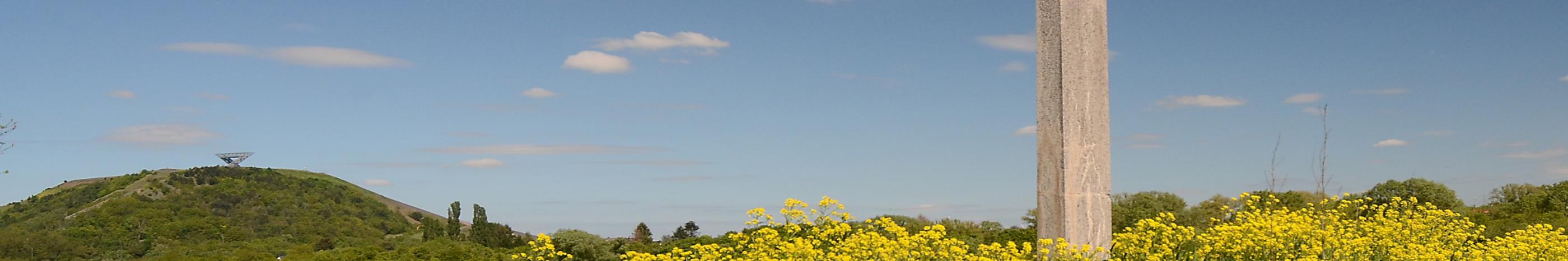 Lisdorfer Aue mit Saarpolygon und Wegekreuz im Frühling