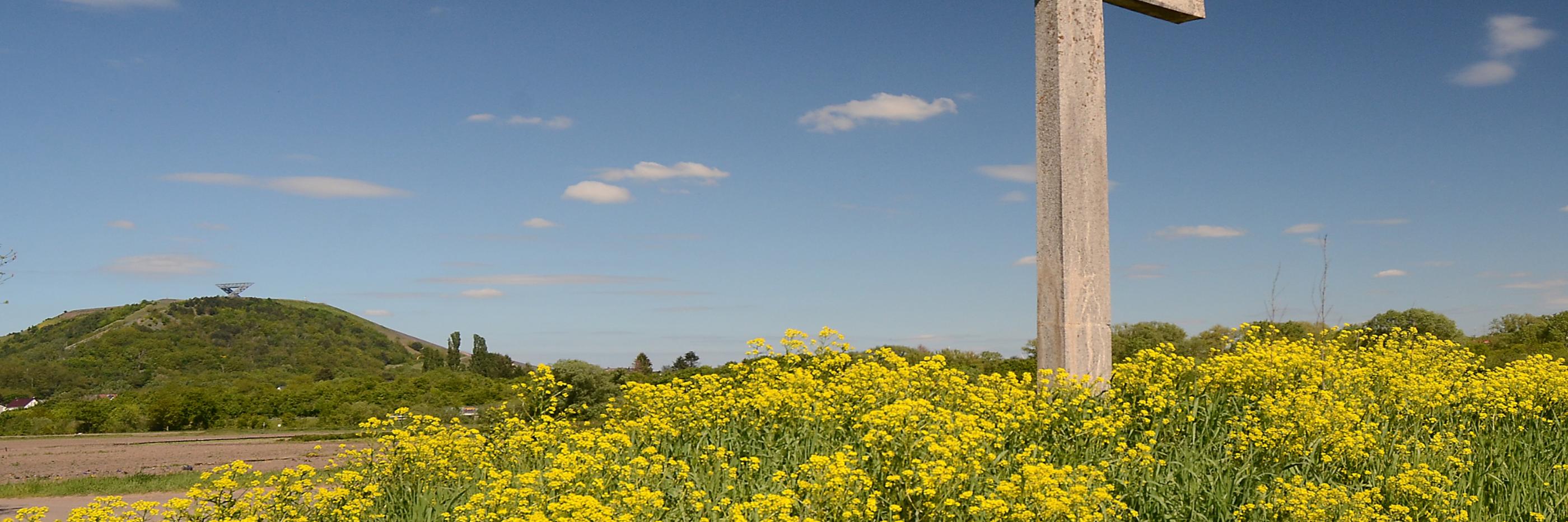 Lisdorfer Aue mit Saarpolygon und Wegekreuz im Frühling